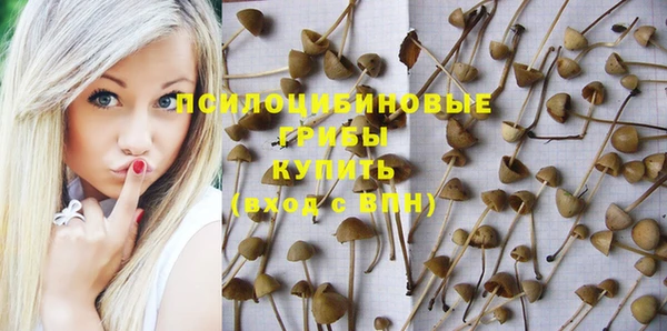 дурь Зеленокумск