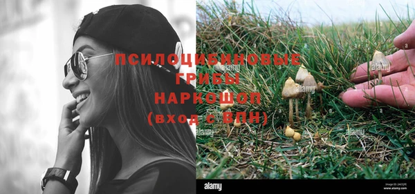 дурь Зеленокумск