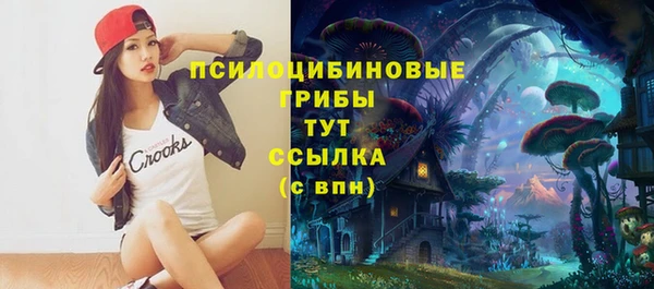 прущие крисы Зеленодольск